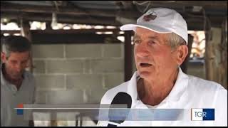 La Sagra Della Patata Rossa Di Sompiano