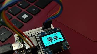 Seeeduino XIAO display on OLED screen (with ssd1306 using I2C interface)
