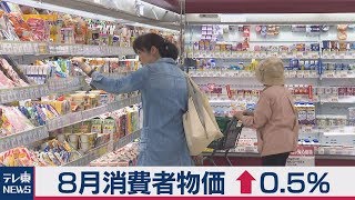 消費者物価↑0.5％　２年１ヵ月ぶり低い伸び