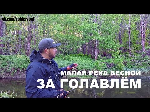 ЗА ГОЛАВЛЁМ. Малая река в Мае. РЫБАЛКА НА СПИННИНГ ВЕСНОЙ. Воблеры на Голавля.