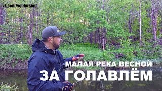 ЗА ГОЛАВЛЁМ. Малая река в Мае. РЫБАЛКА НА СПИННИНГ ВЕСНОЙ. Воблеры на Голавля.