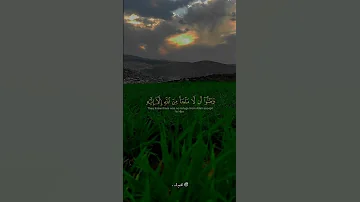 حتى اذا ضاقت عليهم الارض بما رحبت وضاقت عليهم انفسهم منصور السالمي 
