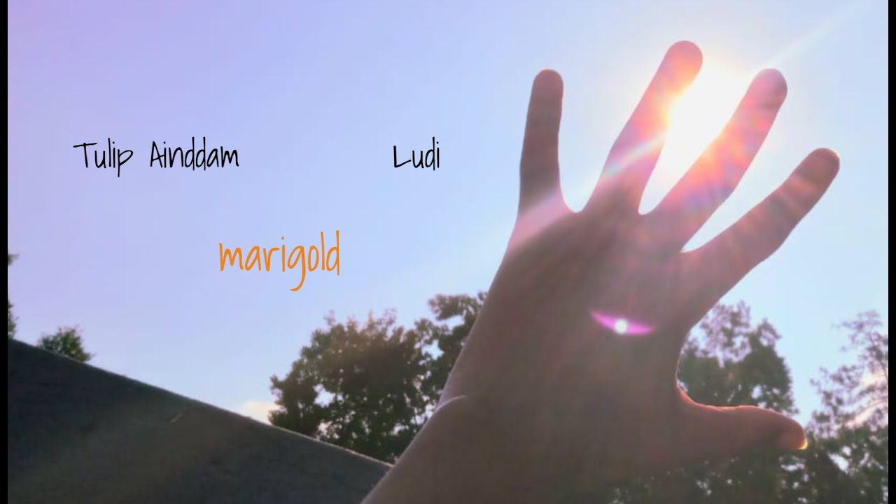 Watch Tulip Ainddam, Ludi - marigold (Official Lyric Video) on YouTube Watch Tulip Ainddam, Ludi - marigold (Official Lyric Video) on YouTube