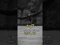 وقت الشدة وانا اخوك