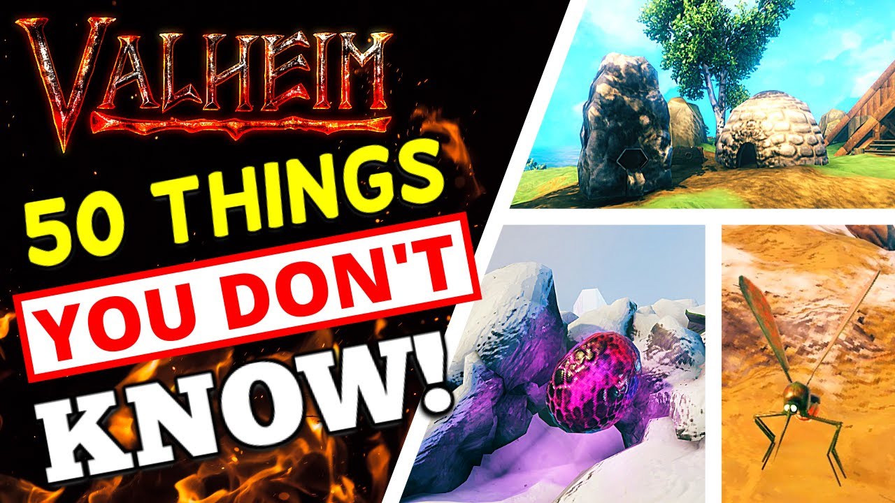 Valheim 50+ THINGS YOU DON'T KNOW! (Maybe)