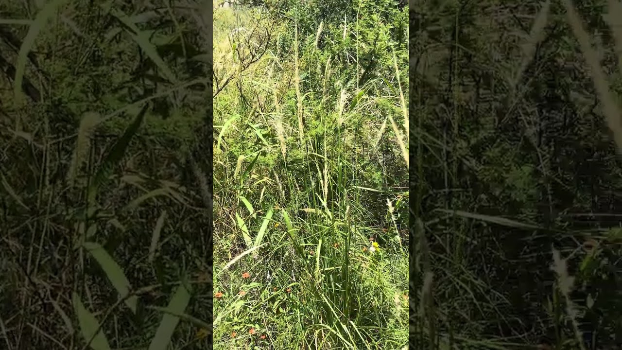 Río Paraná esquina lago epuyen - Terreno en venta de 479m2 - Capilla del monte - Córdoba - Argentina