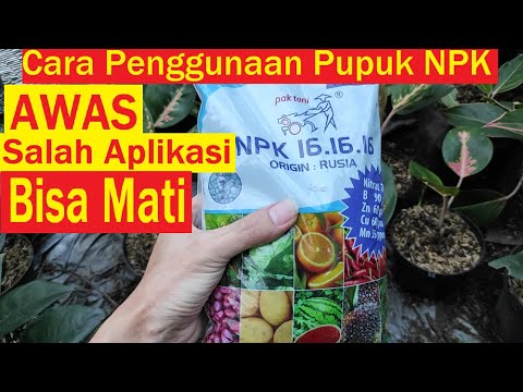 Video: Tenang - Petunjuk Penggunaan, Tablet, Butiran, Ulasan, Harga