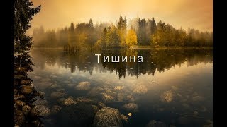 Тишина - ст. Юлия Вихарева, муз. Игорь Малыгин, исп. Ксения Карамышева Тишина - ст. Юлия Вихарева, муз. Игорь Малыгин, исп. Ксения Карамышева
