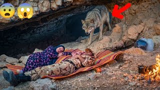 Wild Wolf Attacks Homeless Couple in Mysterious Cave! Millions Heartbroken 💔.