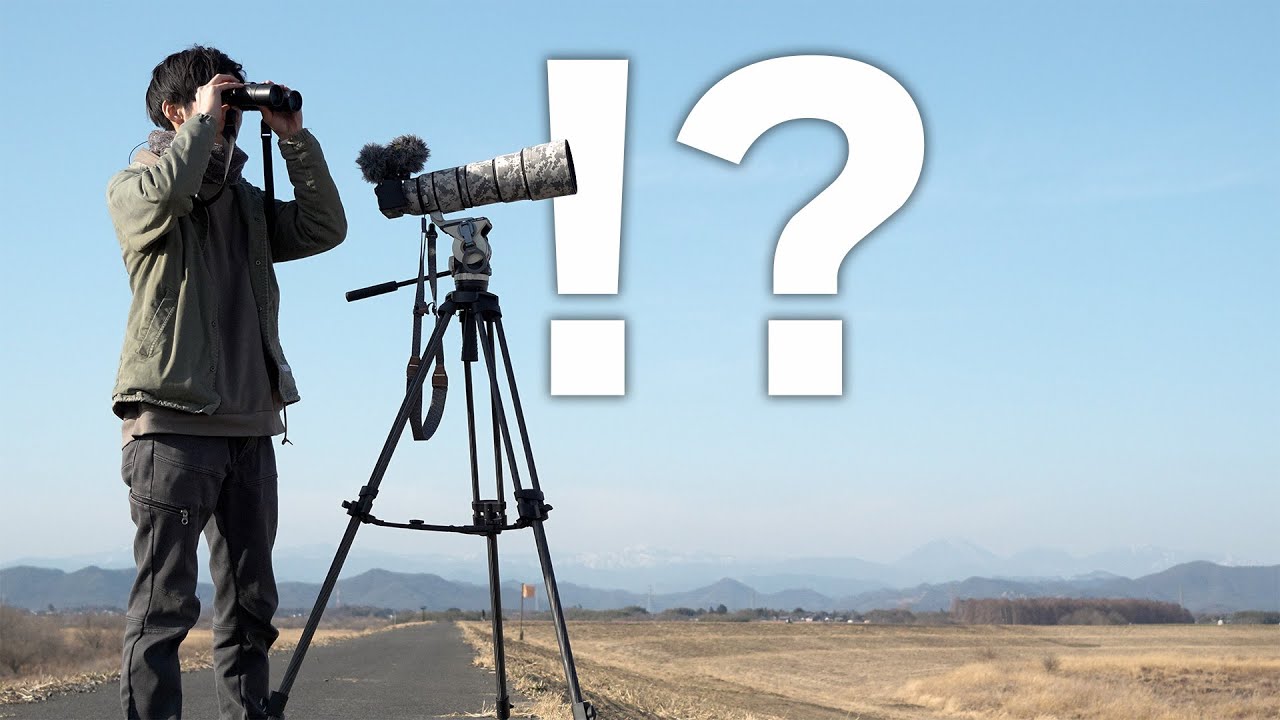 ついに憧れの猛禽類を発見しました …！《α6700野鳥撮影》