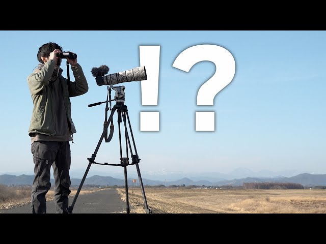 α6700 Wild Bird Photography》 - YouTube