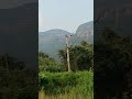 #jharkhand #nature