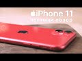 2 МЕСЯЦА С iPhone 11 / Почему это лучший подарок на Новый год? / Честный обзор от Yabloki.ua