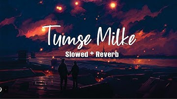 Tedi Medi - Tumse Milke |  Slowed + Reverb | @loficlub3.0