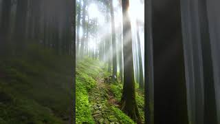 Relaxing waterfall Soundsleep meditation   554