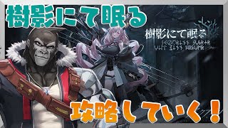 【アークナイツ/樹影にて眠る】ティフォン引いてくぞ！【Vtuber/グレイ・アダムス】