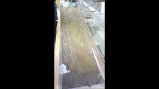 River Experiment 1
