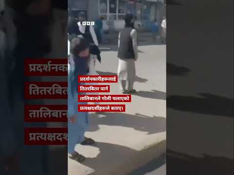 BBC Nepali Sewa - Taliban against women: अफगानिस्तानमा प्रदर्शनमा सहभागीमाथि तालिबानद्वारा गोली