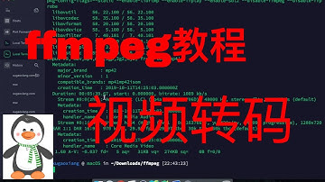 ffmpeg使用教程(2)如何转码？|| How to transcode video using ffmpeg?
