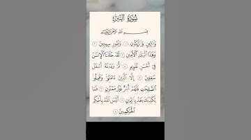 سورة التين بصوت الشيخ احمد العجمي