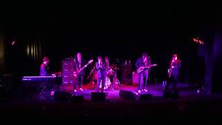 Video thumbnail of "Ticket To Ride performed by the Blues Beatles"