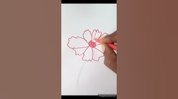 Drawing a Breathtaking Flower | Easy & Beautiful Art Tutorial #drawing