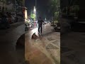 Inline Skate Sepatu Roda Meluncur dan Melompat