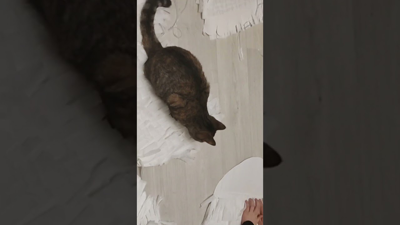 Крылья для ангела своими руками