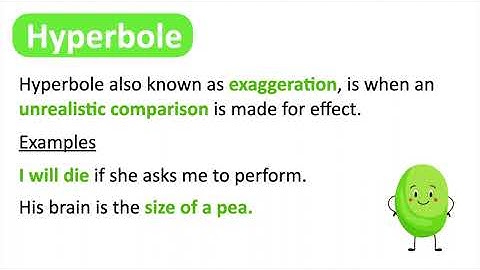 LANGUAGE TECHNIQUES | With Examples