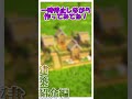 【Minecraft】マルチ対応序盤拠点~建築紹介編~【ゆっくり実況】【マイクラ】