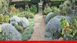 15 Garden Edging Ideas 🛋️