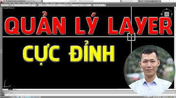 Lệnh quản lý Layer trong cad cực hay (LAYTRANS) | Huy Hiếu Lee
