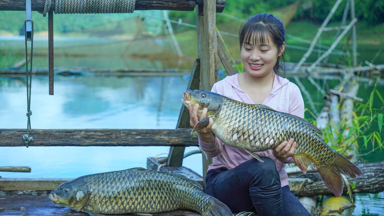 Lake Night Fishing: Giant Carp Lovers Revealed