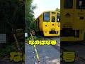 🌼🚃 DiselTrain【なのはな号】Hatta Railroad Crossing Passage|【八田踏切】を通過! 🚦✨