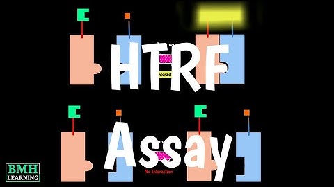 Homogeneous Time-Resolved Fluorescence | HTRF Assay |