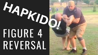 Hapkido Figure 4 Reversal - Very Cool Technique