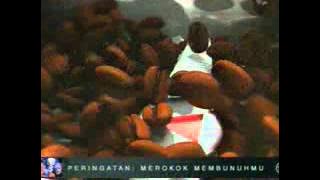 Download lagu TvOne Djarum Black Cappuccino 21 40