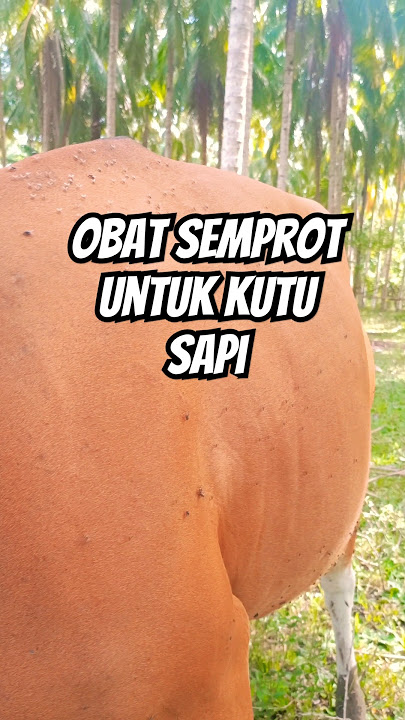 Cows are sprayed for this #cows