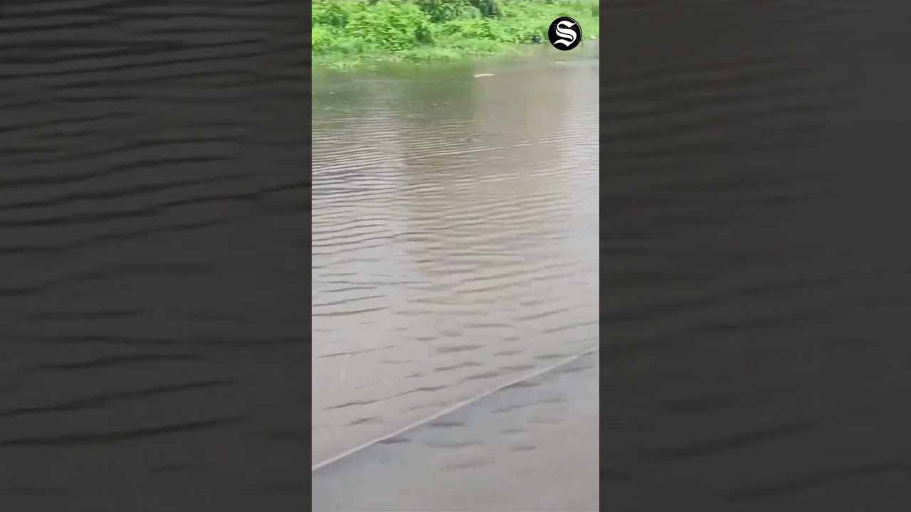 Mumbai Rains: Heavy rain led to severe waterlogging Mumbai | 