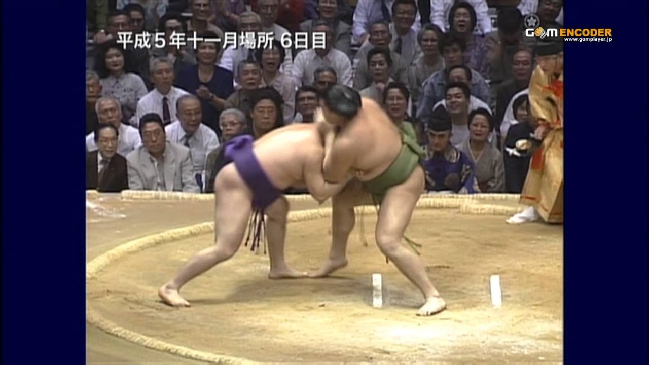 智ノ花 手形入り 力士 相撲 新到着 相撲