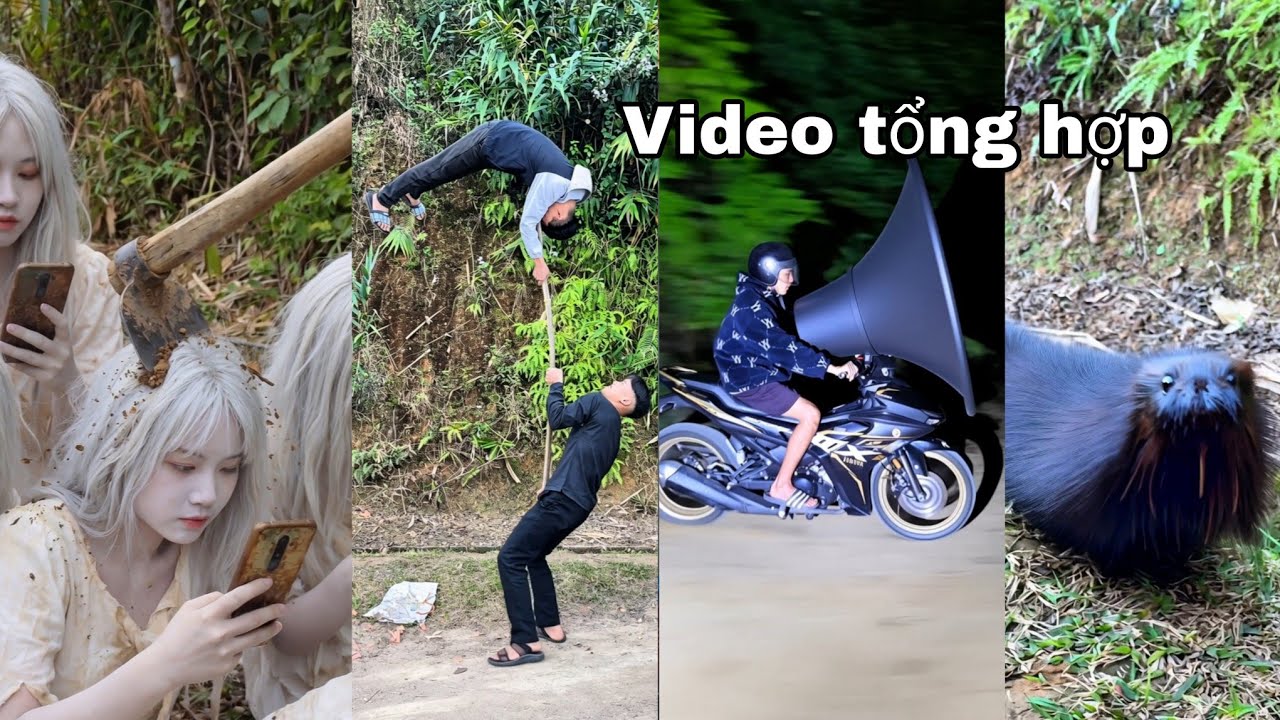 Tổng Hợp Video Hay Nhất