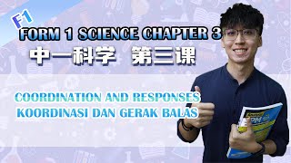 KSSM 中一科学第三课 | F1 Sains Bab 3| Koordinasi dan Gerak Balas