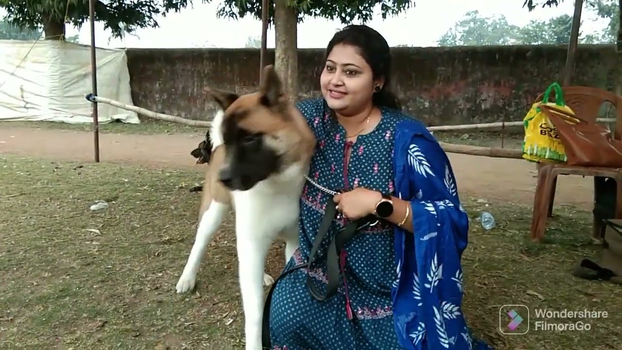 Kharagpur dog show traffic Kalyan Mandap