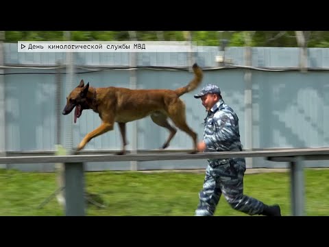 Время местное. Эфир: