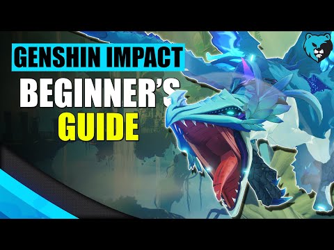 Genshin Impact beginner's guide, tips, and tricks - Polygon