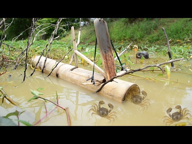 Fishing Skills - Mud Crab Catching Secretly in Hole - How To Catch A Crab  In A Bamboo Trap {2019} 