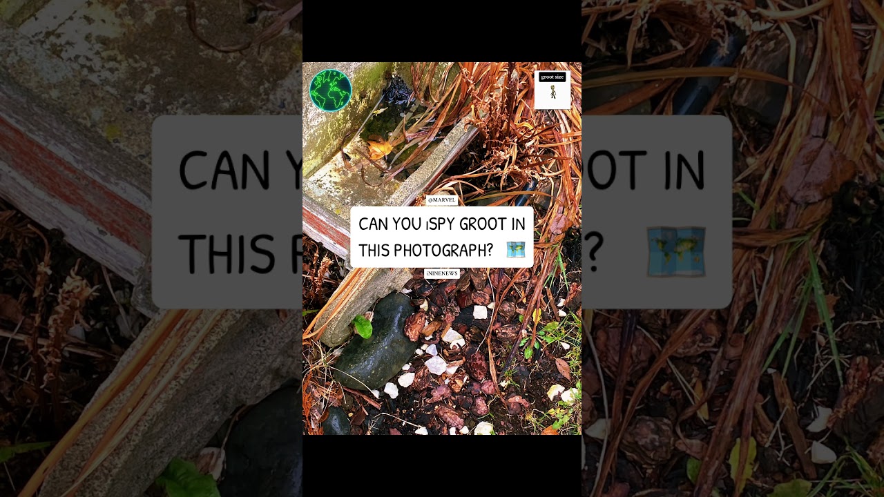 NATURE MEME 🗺️ • 