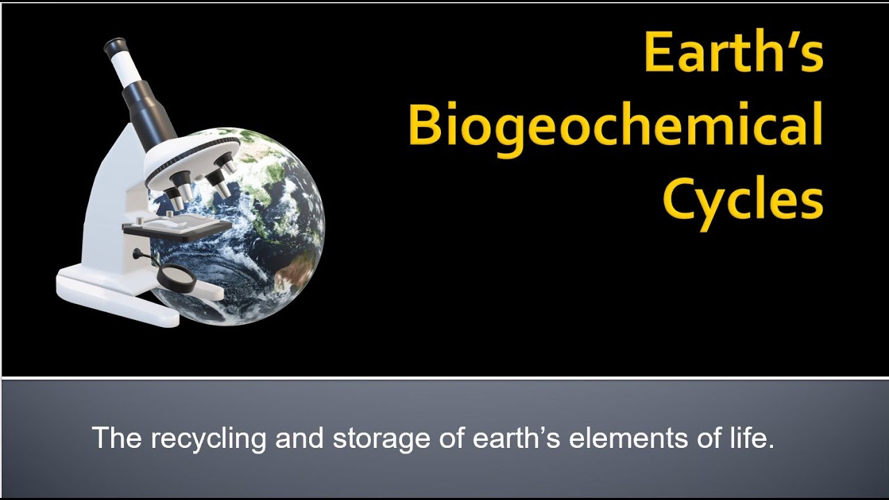 Biogeochemical cycles - YouTube