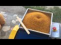 Обзор веялки для пыльцы Лысонь + упаковка пыльцы