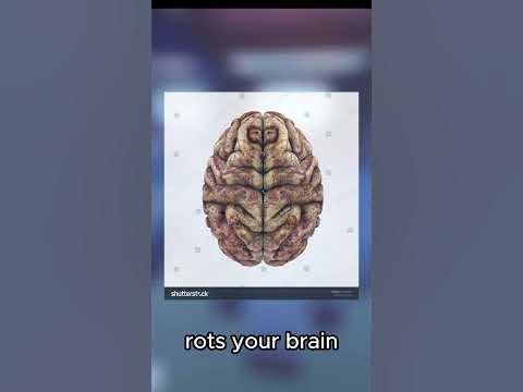 Brain Rot tutorial - YouTube